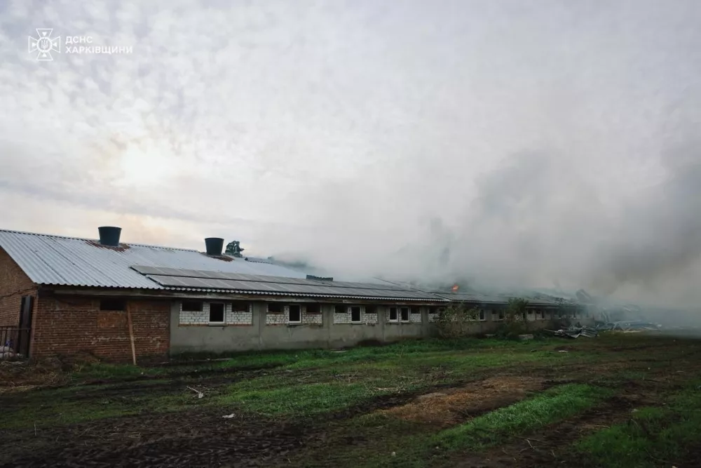In this photo provided by the Ukrainian Emergency Service on Friday, Oct. 3, 2025, a pig farm is seen on fire after a Russian strike in Kharkiv region, Ukraine. (Ukrainian Emergency Service via AP)