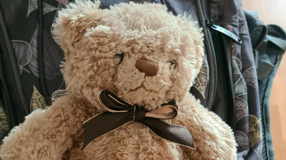 pli&scaron;ast medvedek