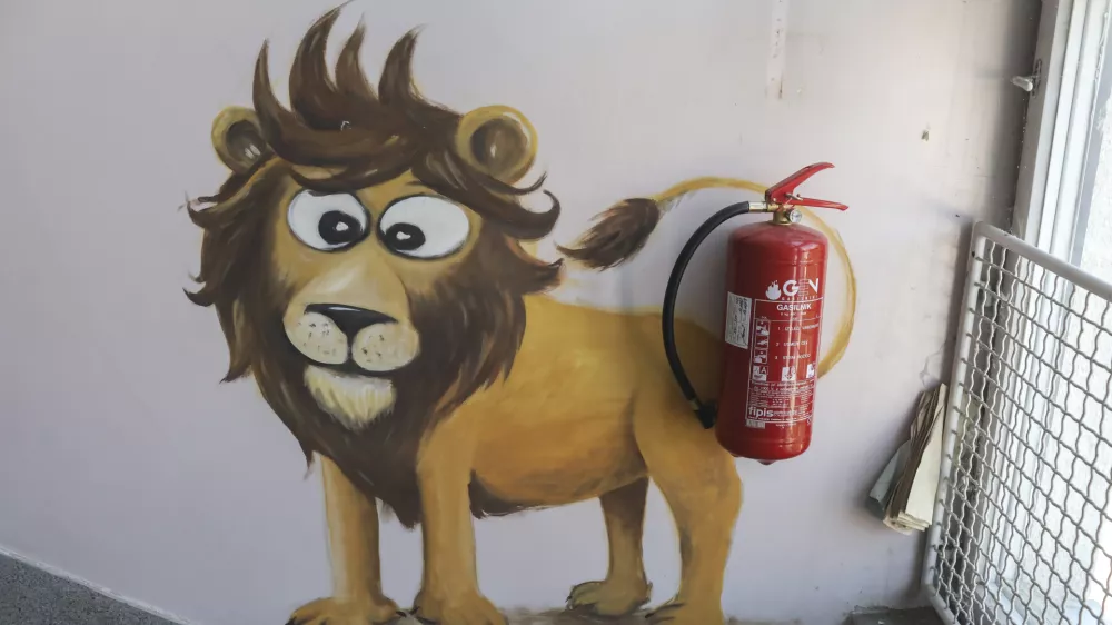 - 19.07.2019 - Negovalna bolni&scaron;nica, biv&scaron;a pediatrična bolnica - dotrajan objekt - zdravstvo, nega, medicinska sestra, bolnik, pacient //FOTO: Jaka Gasar