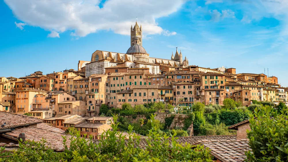 Blick auf die Altstadt von Siena in der Toskana im Sommer, in der Mitte ist der ber&uuml;hmte Dom zu sehen