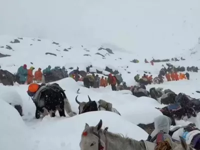 In this photo taken Oct. 4, 2025 and released by Lingsuiye, villagers with their oxen and horses ascend the mountain during rescue efforts to reach hundreds of hikers trapped by heavy snow at tourist campsites on a slope of Mount Everest in Tibet on Sunday, Oct. 5, 2025. (Lingsuiye via AP)