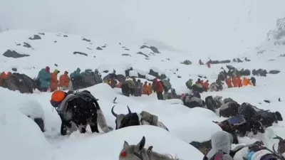 In this photo taken Oct. 4, 2025 and released by Lingsuiye, villagers with their oxen and horses ascend the mountain during rescue efforts to reach hundreds of hikers trapped by heavy snow at tourist campsites on a slope of Mount Everest in Tibet on Sunday, Oct. 5, 2025. (Lingsuiye via AP)