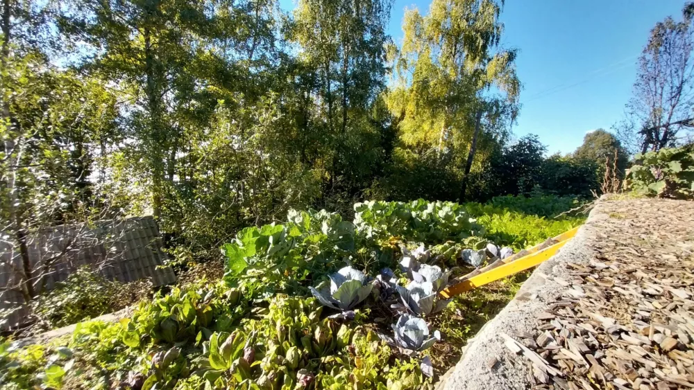 Botanični raj v Posavskem hribovju