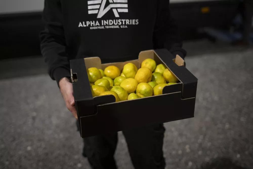 Zvečer se parkiri&scaron;če na Viču prelevi v pravo malo tržnico. Le kaj prodajajo?