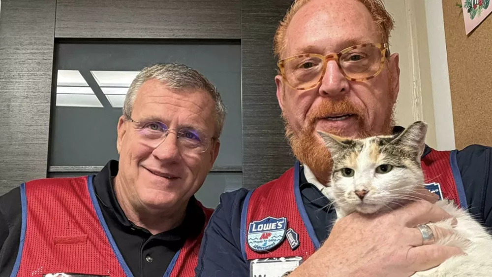 Story from Jam Press (Missing Cat Found)Pictured: Wayne Schneider and Mike Sida with Francine.Beloved shop cat found 90 miles from home after determined community launches DRONES in major search operationA beloved shop cat was found 90 miles from her home after a community launched drones in a bid to track her down.Francine, a stray who has lived at a DIY store for eight years, went missing in mid-September, sparking a desperate search.Staff launched a massive rescue mission using thermal drones, professional trackers, and hours of CCTV footage, as reported by NeedToKnow.It soon became clear the cheeky moggy had accidentally hopped onto a truck bound for the company's distribution centre.Signs, humane traps, and cameras were set up across the site in Garysburg, North Carolina, US, with asset protection teams monitoring every clue.On Saturday (4 October), Francine was finally caught on camera - and moments before midnight, she was safely trapped using her favourite food."She looked at us and gave this big meow like, 'What took you so long?'" said Wayne Schneider, of Lowe's Home Improvement in Richmond, Virginia, who was reunited with the cat on Monday (6 October).Store manager Mike Sida added: "From the start, we knew we'd do whatever it took to bring Francine home."She's part of who we are here."The pair made the 90-minute drive at 4am on Monday (6 October) to collect their furry colleague and bring her back to Richmond.Sida added: "She has always been a beacon for our customers."She's more than our store cat - she's part of our family."ENDS,Image: 1044132494, License: Rights-managed, Restrictions:, Model Release: no