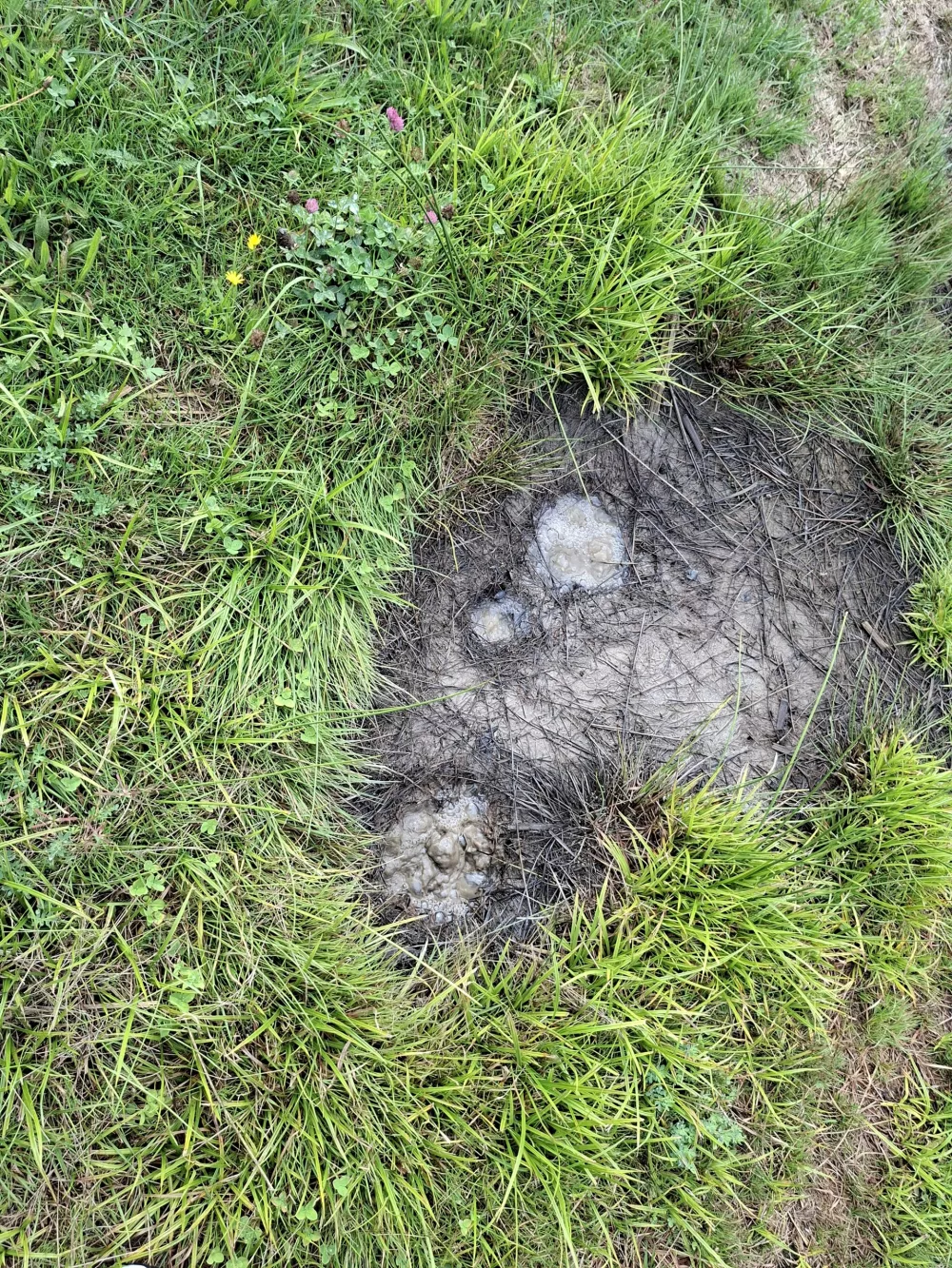 Navdih za konec tedna: Mirna dolina slatinskih vrelcev