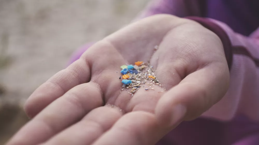 Child's hand on a beach, a symbol of the future generation inheriting a world with microplastic pollution. / Foto: Svetlozar Hristov