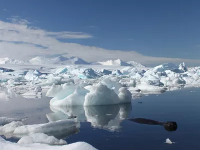 A seal swims by icebergs off the British Antarctic Survey's Rothera base January 23, 2009. Companies are getting more interested in research into Antarctic life, which has yielded patents helping everything from medicines to ice cream production even though a 47-nation treaty says all science should be made "freely available". To match feature ANTARCTICA-COMPANIES  REUTERS/Alister Doyle (ANTARCTICA) - RTXB9VR