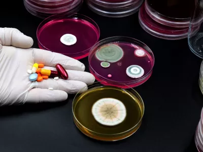 Ilustracija testiranja v laboratorijih / Foto: Istock