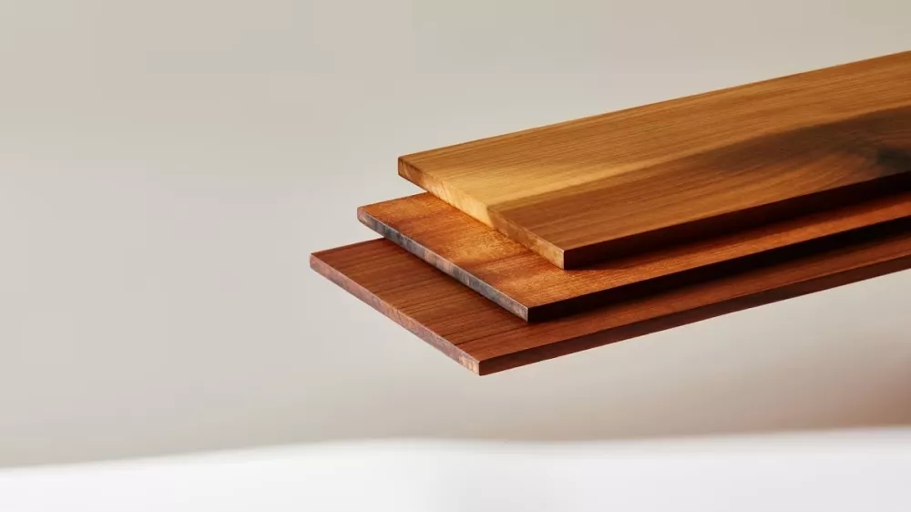 Nova vrsta lesa, ki sli&scaron;i na ime superles