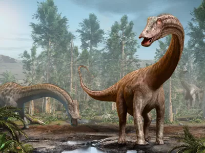 Diplodok je tudi eden od sorodnikov novinca. / Foto: Istock