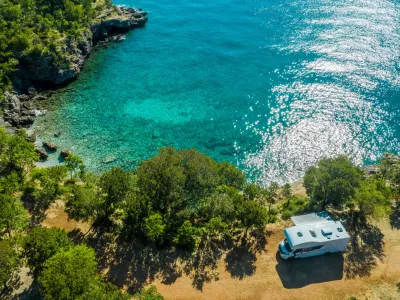 Vi, morje, sonce in - divji pra&scaron;iči / Foto: Istock