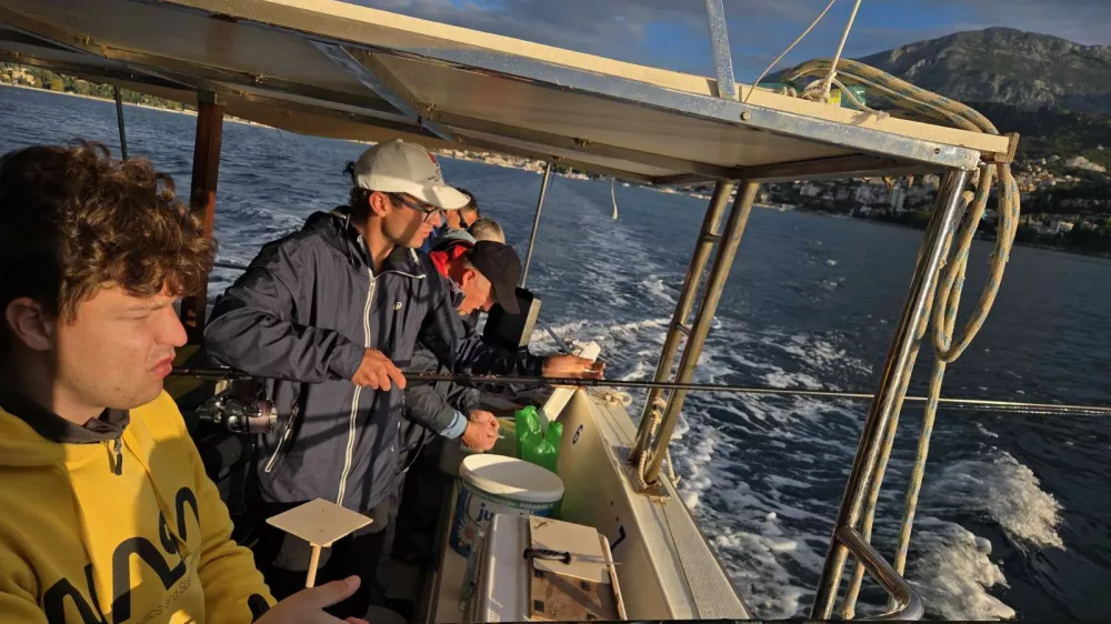   F Arhiv reprezentance