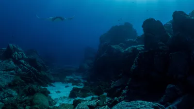 Manta rays are very friendly to divers in Socorro island. They are really good underwater models. / Foto: Hyoungho Lee