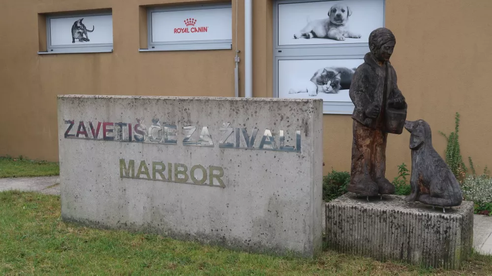 Zaveti&scaron;če za živali Maribor. Foto: Tatjana Pihlar 