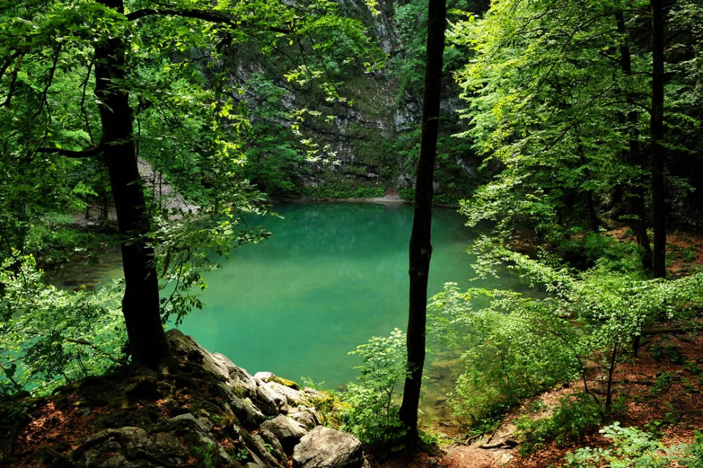 Divje jezero / Foto: Franci Horvat