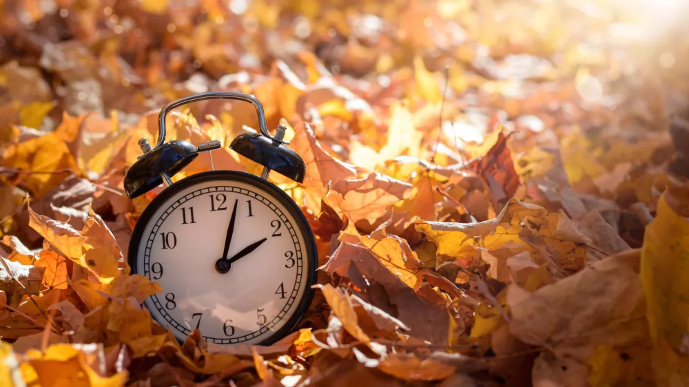Alarm clock among golden yellow fall leaves with bright sunshine, autumn time change concept / Foto: Juliealexk