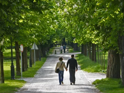 - simbolična fotografija - ljubljanski mestni Park Tivoli aprila 2014 - zelena pomlad - pomladno cvetenje - pomladni sprehod - sprehajalna pot - sprehajanje - park - zelena listopadna drevesa - listavci - listnata drevesa - drevo - narava - //FOTO: Tomaž Skale