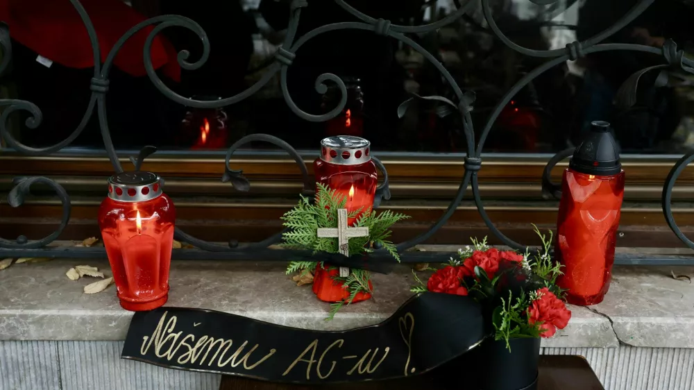 Novo mesto žalovanje