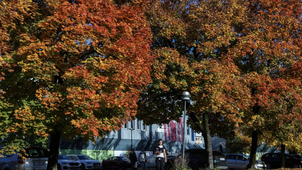 - 24.10.2025 - reportaža jesen, Ljubljana//FOTO: Jaka Gasar
