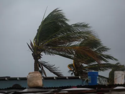 Palm trees are shaken by the wind, ahead of Hurricane Melissa at Hellshire Beach, in the coastal town of Hellshire, Jamaica, October 26, 2025. REUTERS/Octavio Jones