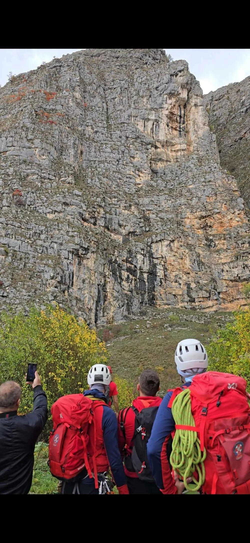 re&scaron;evanje psa