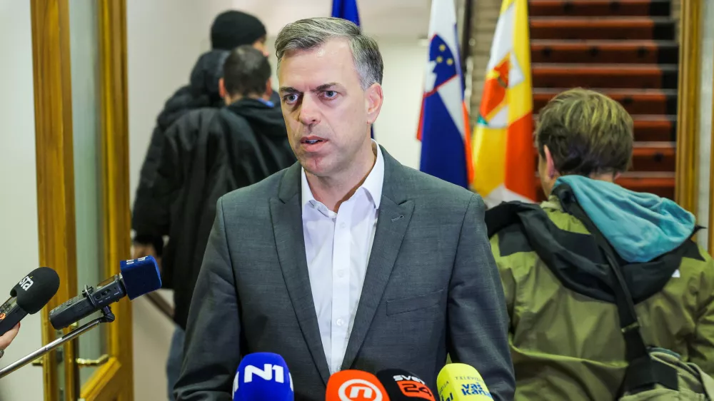 Novo mesto, Rotovz.Izjava po vladnem obisku Novega mesta.