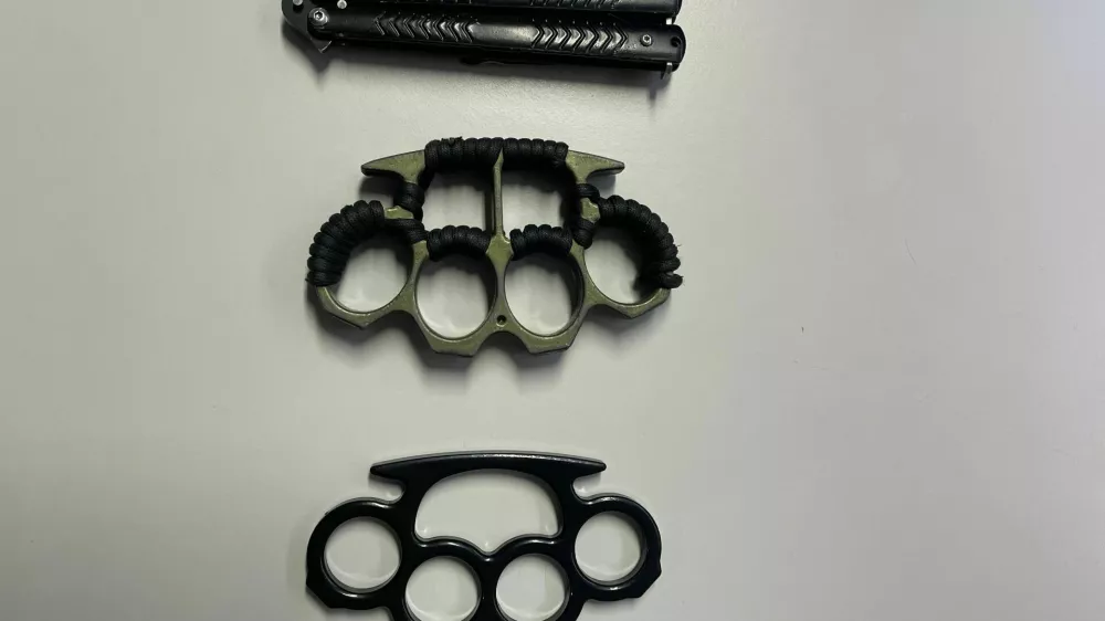 Na shodu v Novem mestu je policija zasegla več kosov orožja. 