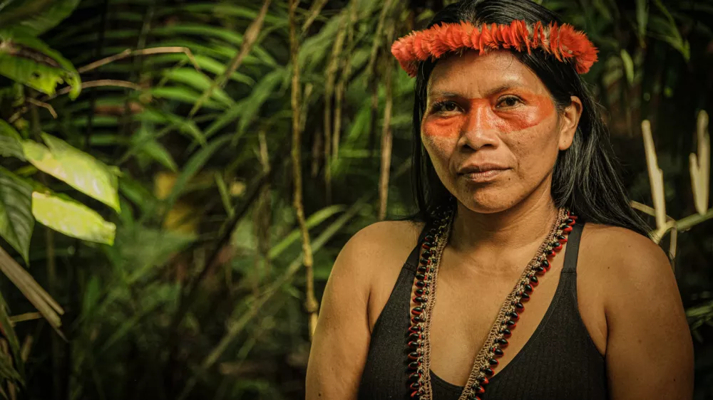 b jhb fjab fjhsf jb fjlab fjlgajl asg fjagj / Foto: Nico-kingman