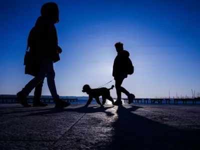Sprehod s psom, pes, Portorožfoto: Bojan Velikonja