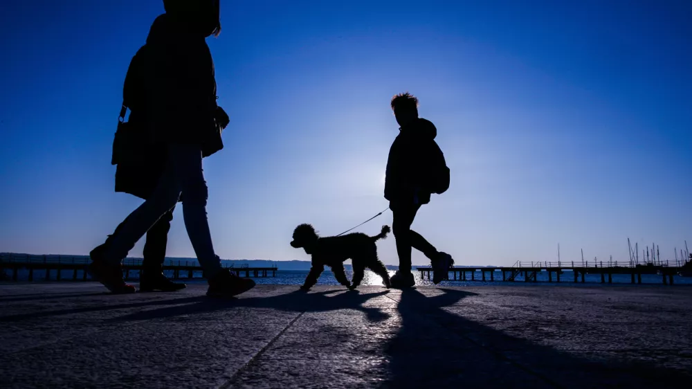 Sprehod s psom, pes, Portorožfoto: Bojan Velikonja