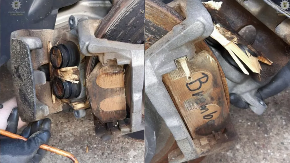 Zavore iz lesa / Foto: Nem&scaron;ka Policija