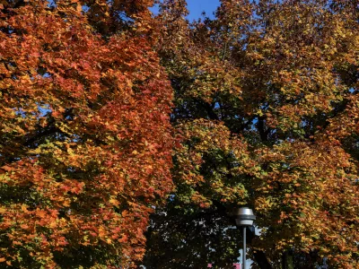 - 24.10.2025 - reportaža jesen, Ljubljana//FOTO: Jaka Gasar