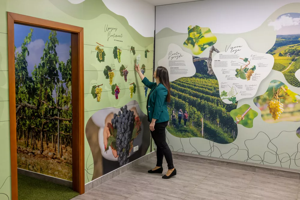 Vstop v Center je prost, prostor pa je dostopen tudi osebam z invalidnostjo. Ob Kulturnem centru &Scaron;trigova, kjer se Center nahaja, je parkiri&scaron;če.