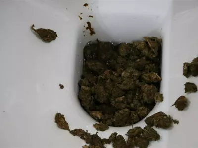 Ženska se je sku&scaron;ala drog znebiti tako, da jih je vrgla v strani&scaron;čno &scaron;koljko. 