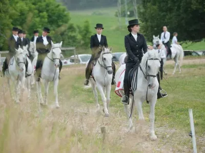 Krumperk ostaja dom konj &ndash; za zdaj