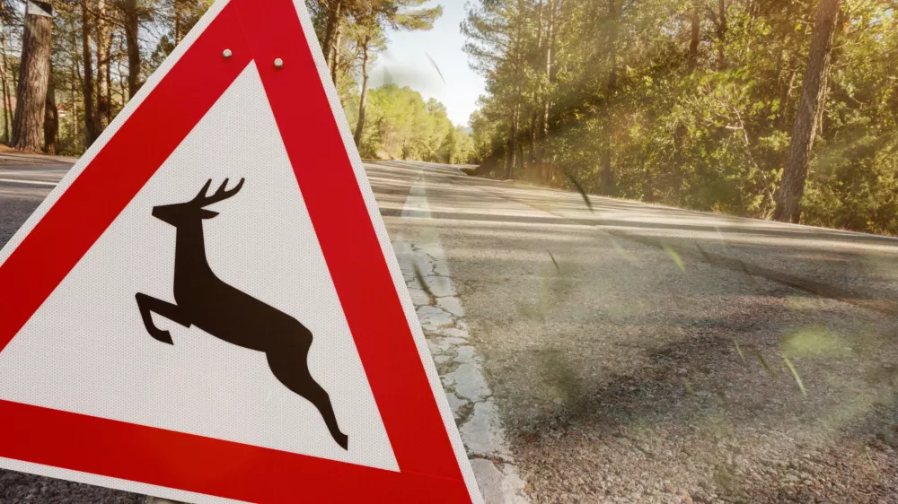 Slika je simbolična. / Foto: iStock