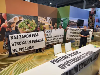 Zmeda okoli kastracij in počeni meniskus