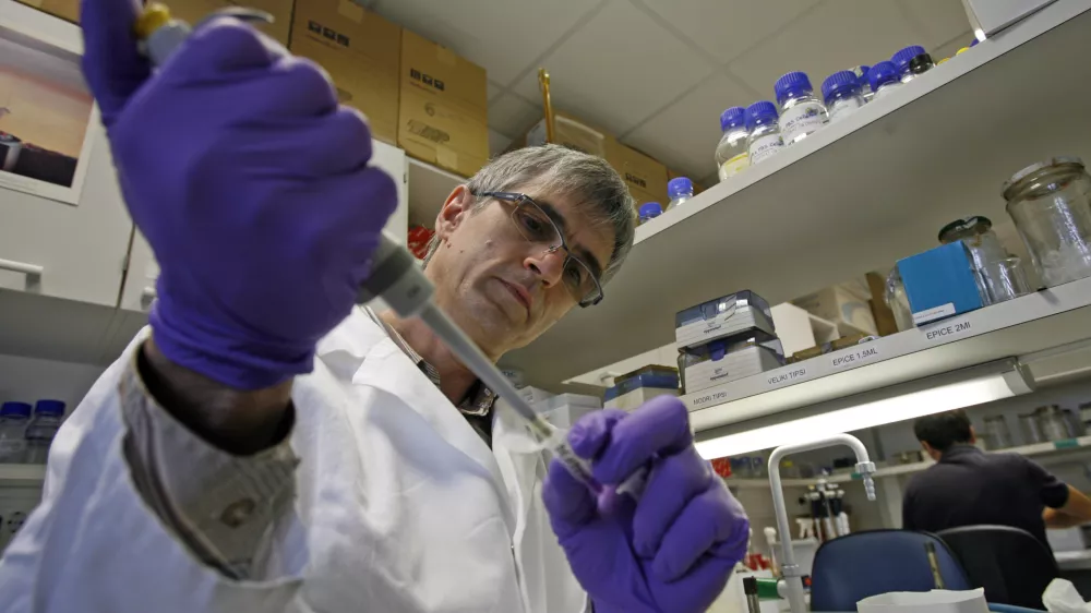 Dr. Simon Horvat, znanstvenik - profesor, ki je z genomsko analizo odkril gen DEPTOR, ki vpliva na debelost, zaposlen v Laboratoriju za biotehnologijo - Kemijski in&scaron;titut in profesor genetike - Biotehni&scaron;ka fakulteta//FOTO: Tomaž Skale