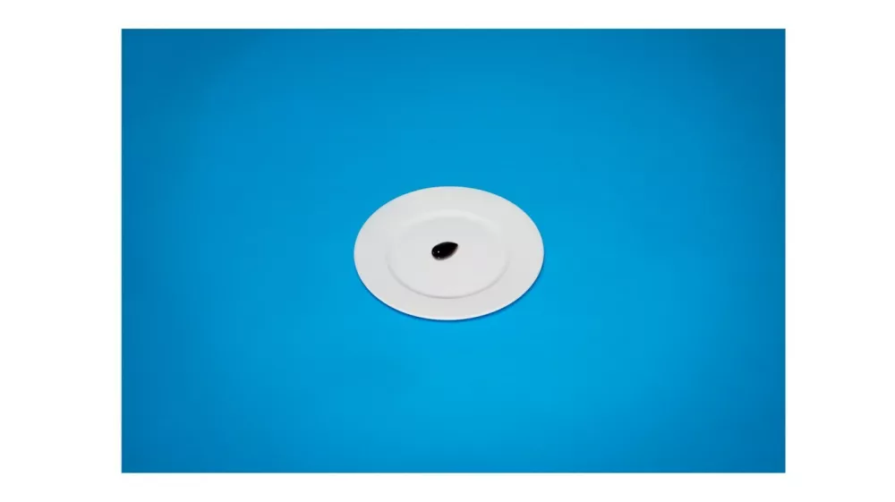 A solitary olive, a fast-food binge... and a birthday cake: The bizarre last meals of death row killers before they face execution..Even though they have been condemned to die for their crimes, the humanity of offering a death row prisoner a final meal fascinates like few other requests..Inspired by the forgiving gesture, Julia Ziegler-Haynes, a Brooklyn-based artist, has exhaustively trawled through the public records of death row inmates and selected 24 last meals, painstakingly recreated them and then photographed them..Produced for a book known as 'Today's Special', each one was cooked and prepared to the exact recorded likings and specifications of each prisoner, from a fast food blow-out to a single un-pitted black olive..'Essentially, these prisoners had become guests in my home. And so, despite having been immersed in the hideous details of each crime, I repeatedly found myself feeling empathetic towards them. Especially those whose requests were so meager,' states Ziegler-Haynes.&Acirc;&nbsp;..For example, one photograph depicts a black un-pitted olive, another, a single cup of coffee..Having been planning her photographic project for the past decade, the sculptor and printmaker shot her meals from the vantage point of the diner..This placed the viewer in the place of the condemned man and to help them think about what could possibly have been going through their mind as they ate their meal..Her visual aesthetic is inspired by Christian Boltanski?s Compositions d&eacute;coratives (1976), and significantly influenced by the food styling from that era with its faded backdrops and unappetizing simplicity &acirc;&euro;" likened to food images from the windows of cheap restaurants..Envisioning how each meal would appear served in the prisons, Ziegler-Haynes then juxtaposed her versions against vibrant backgrounds to liven what she assumed to be the opposite of their actual presentation.&Acirc;&nbsp;.'I imagine, for instance, they serve frozen hamburger patties on commercially made buns,' she states,Image: 327072526, License: Rights-managed, Restrictions: * France, Germany, Italy and United Kingdom Rights OUT *, Model Release: no