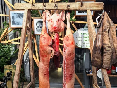 Izmera pra&scaron;iča v novi preobleki: Koline kot kulinarični spektakel