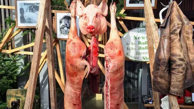 Izmera pra&scaron;iča v novi preobleki