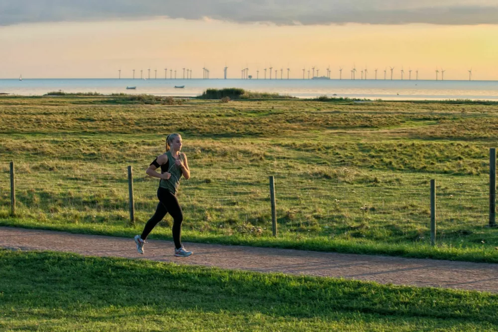 &Scaron;vedska / Foto: / Foto: iStock
