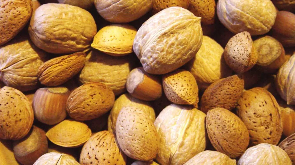 ore&scaron;čki mandelj le&scaron;nik