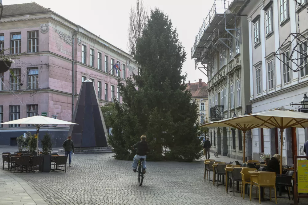 Postavili prve novoletne smreke, eno je mestu podaril občan