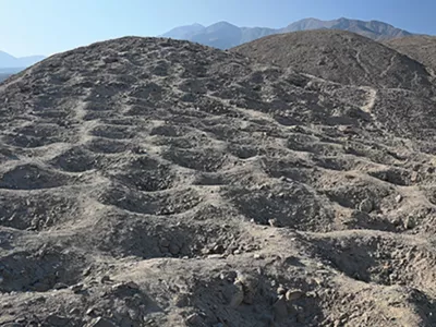 Pogled od blizu / Foto: C. Stanish Et Al.