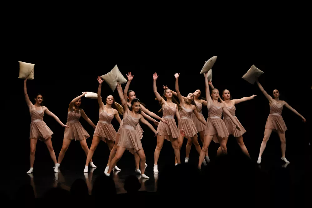 Festival plesnih radovednežev