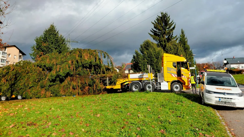 Smreka, Medvode. Foto: Tina Jereb