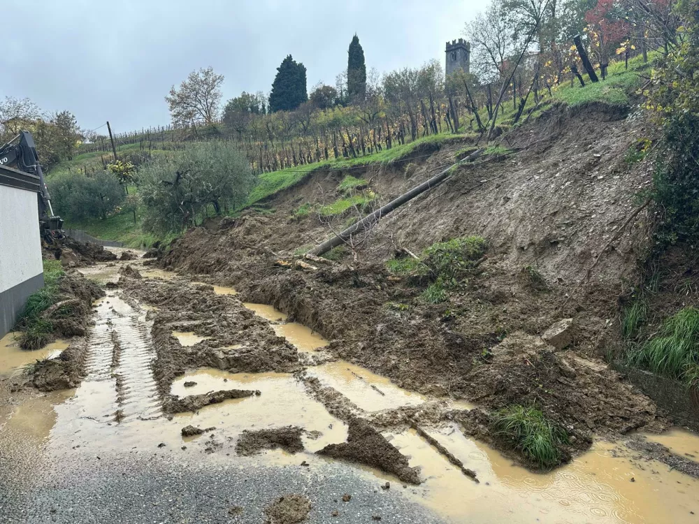 Foto: CZ občine Brda&nbsp;