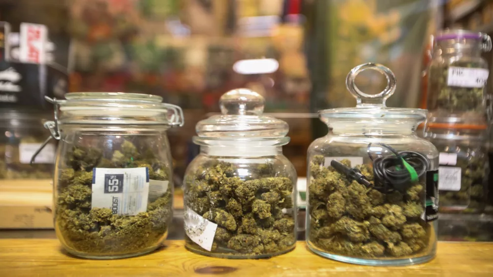 Evropska komisija za zdaj z rdečo lučjo za osebno rabo konoplje